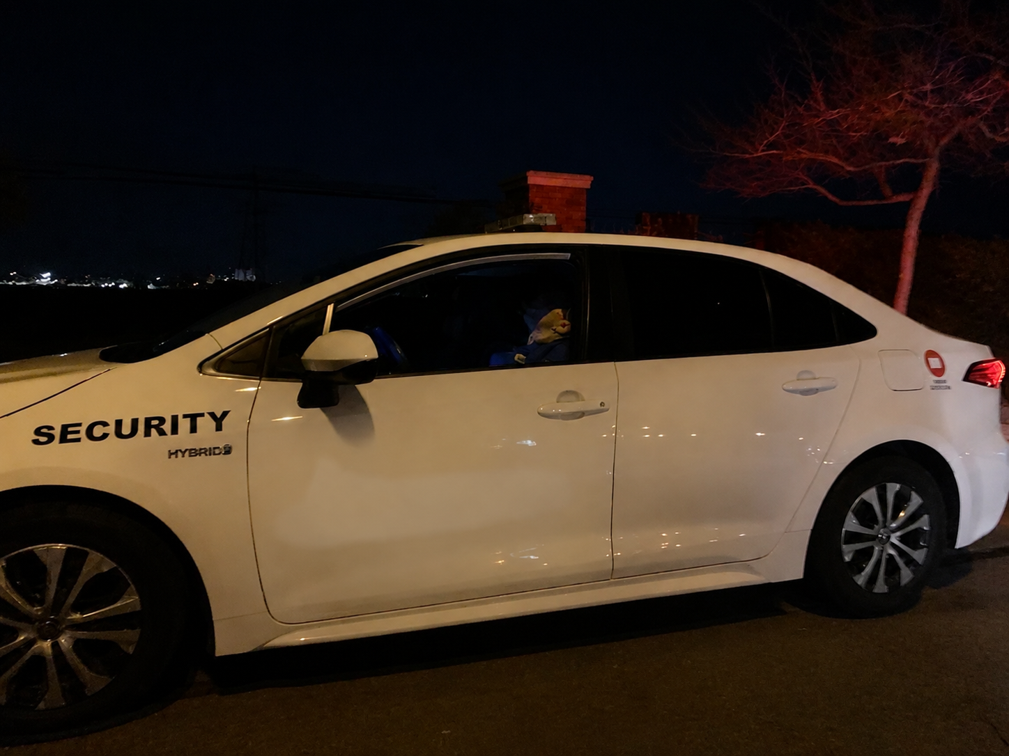 Security guard sleeping in patrol vehicle